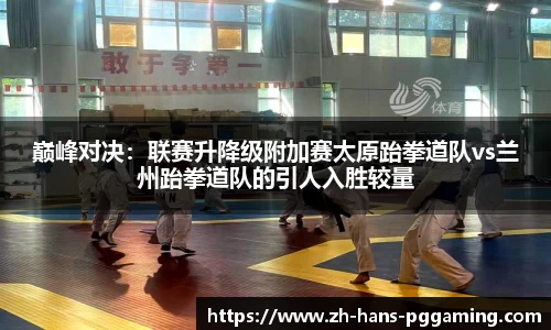 巅峰对决:联赛升降级附加赛太原跆拳道队vs兰州跆拳道队的引人入胜较量